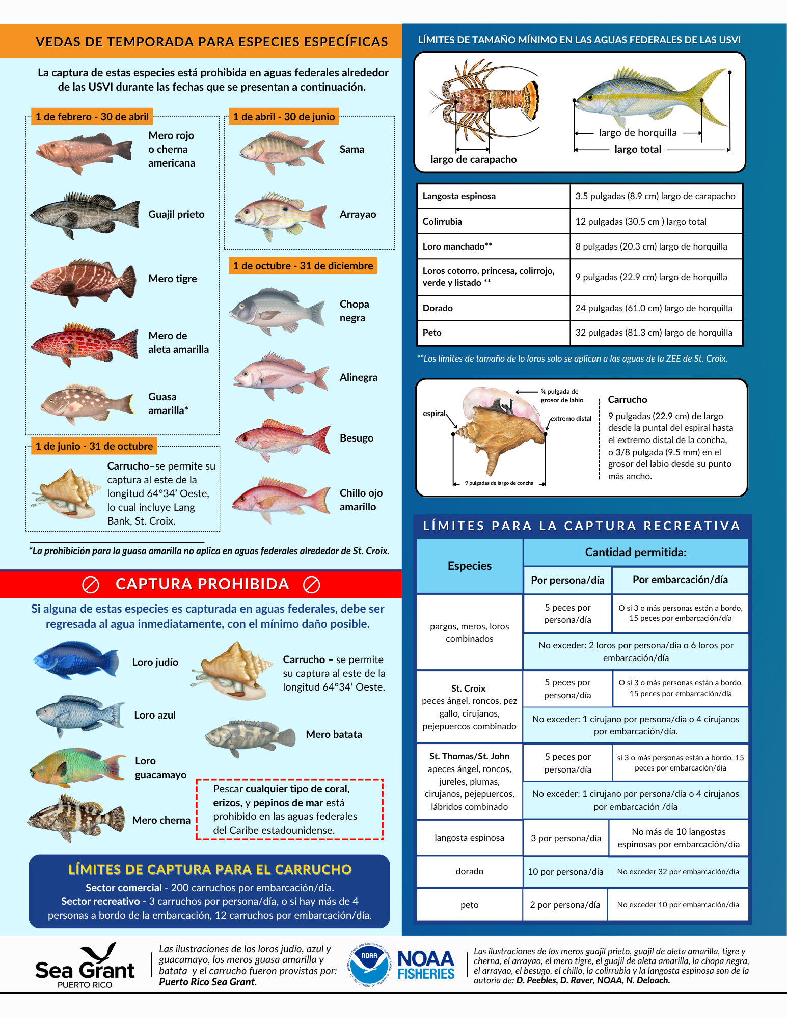 Esp Summary of Commercial and Recreational Regulations in Federal Waters U.S. Virgin Islands
